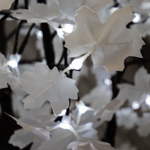 White LED Maple Leaf
